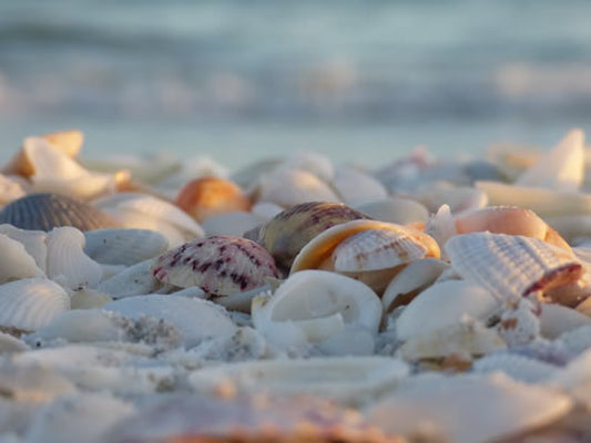 Beach Umbrella Rental on Sanibel Island